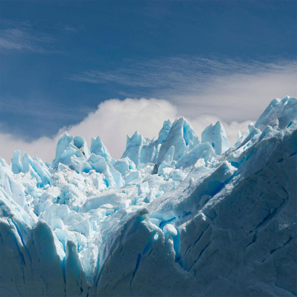 Brokers Online Argentina