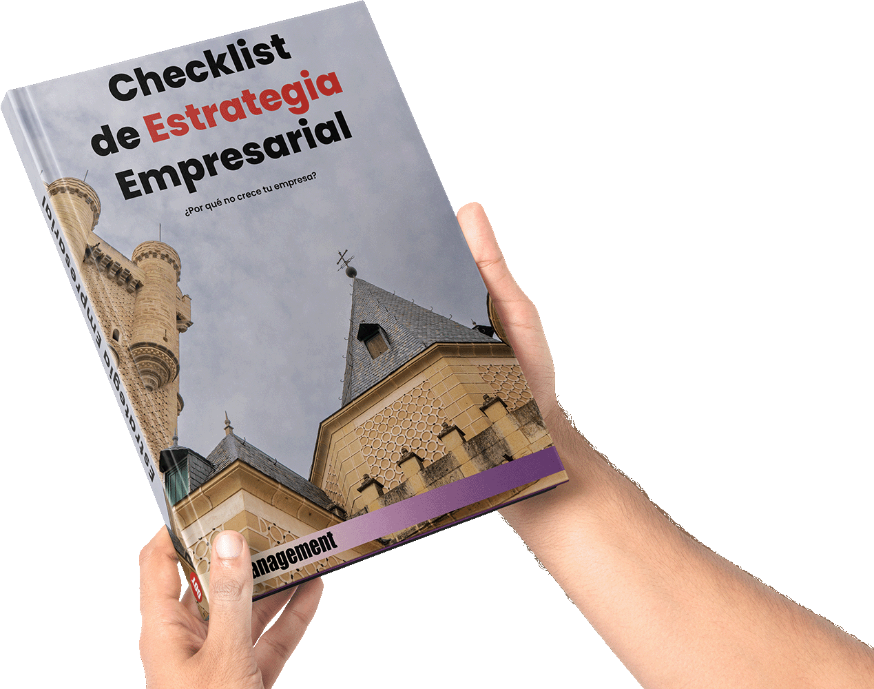 Checklist de Estrategia Empresarial DotManagement